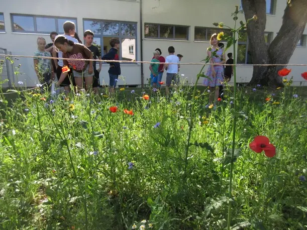 Kinder in einer Blumenwiese